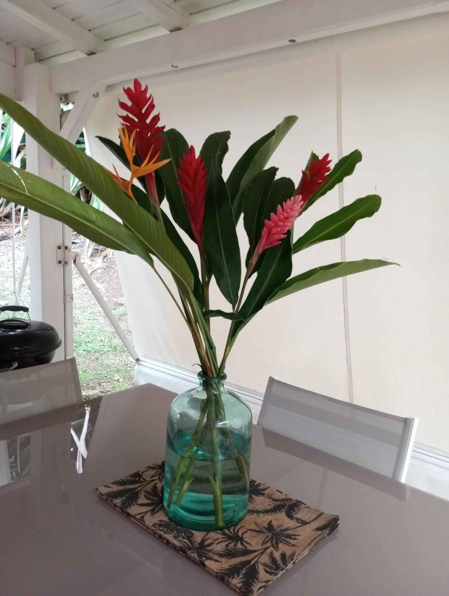 Bungalow Broceliande เลอโกซิเยร์ ภายนอก รูปภาพ